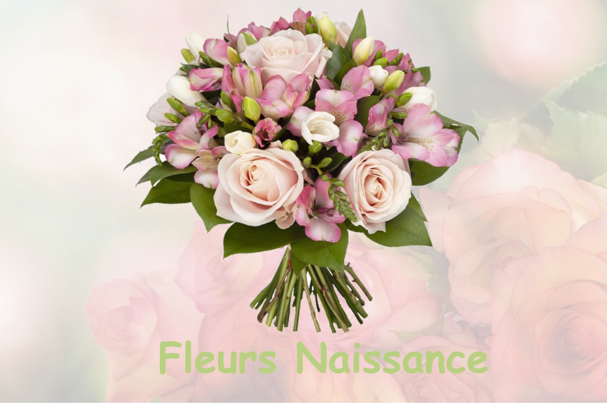 fleurs naissance BISSEY-LA-PIERRE